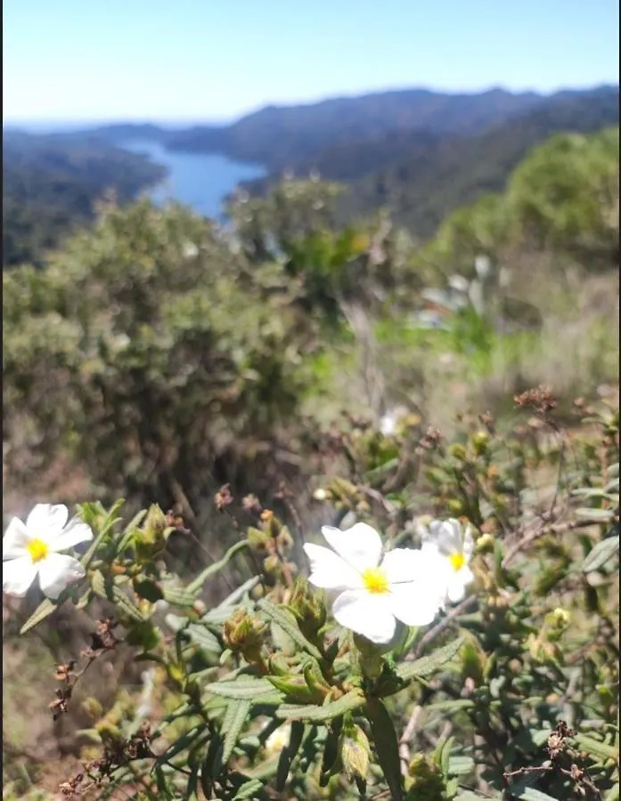 Hébergement de vacances Casa Rural Manantial De Las Jaras Istán