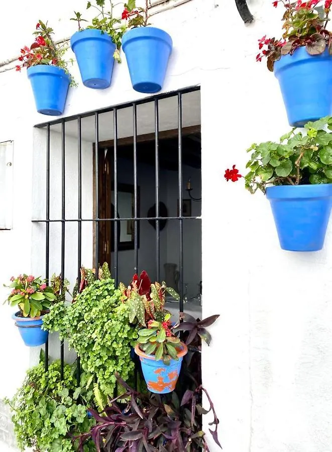 Casa Rural Manantial De Las Jaras Istan Spain