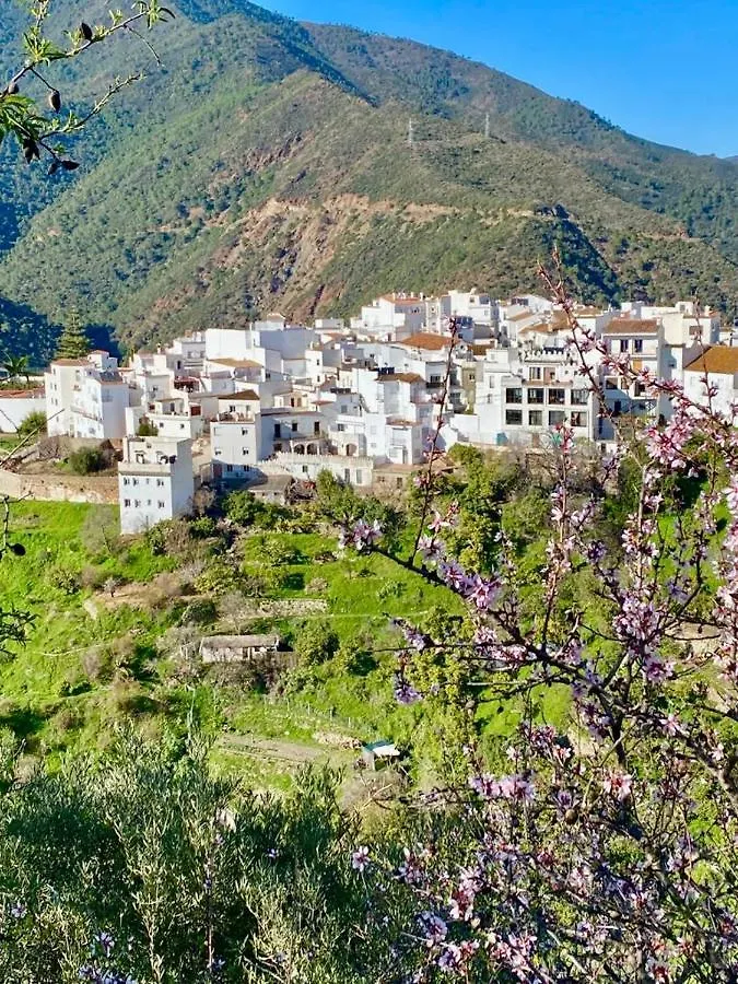 Casa Rural Manantial De Las Jaras Istán